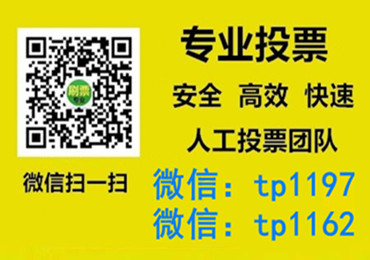 开封市微信手动投票费多少钱让我告诉你微信投了多少